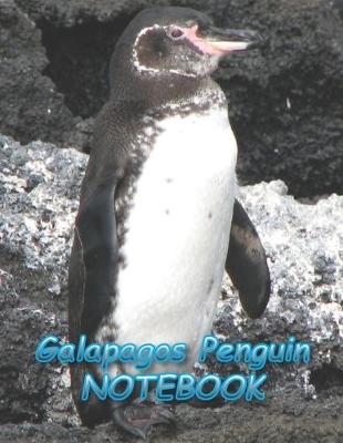 Book cover for Galapagos Penguin NOTEBOOK