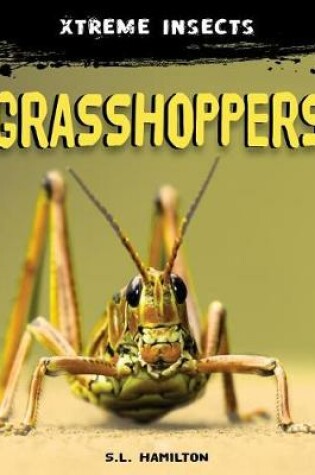 Cover of Grasshoppers