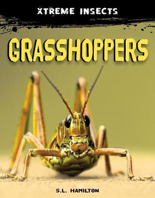 Book cover for Grasshoppers