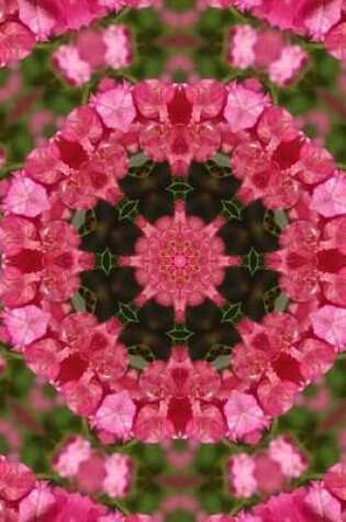 Cover of (Website Password Organizer) Floral Kaleidoscope