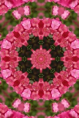 Book cover for (Website Password Organizer) Floral Kaleidoscope