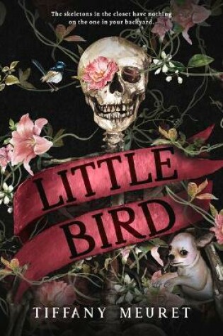 Cover of Little Bird