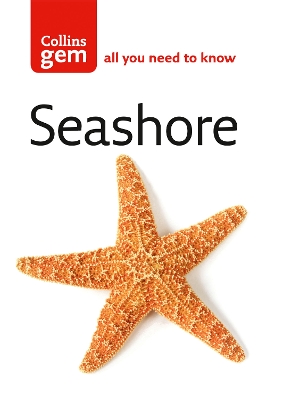 Book cover for Seashore