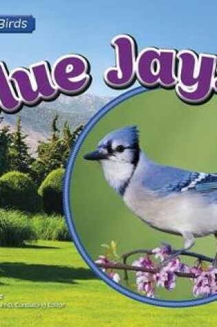 Cover of Blue Jays