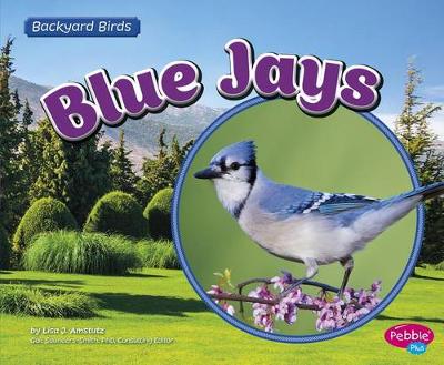 Book cover for Blue Jays