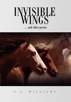 Book cover for Invisible Wings