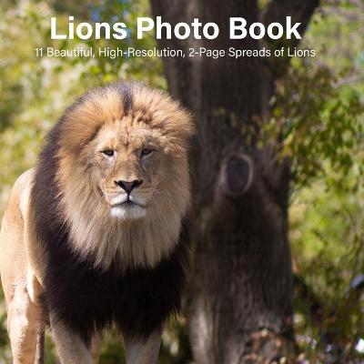 Book cover for Lions Photo Book