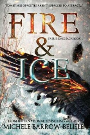 Cover of Fire and Ice