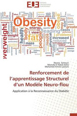 Cover of Renforcement de L Apprentissage Structurel D Un Mod le Neuro-Flou