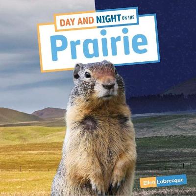 Book cover for Day and Night on the Prairie