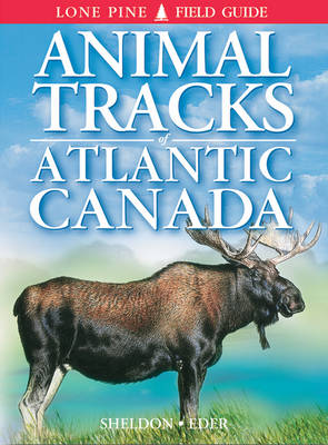 Book cover for Animal Tracks of Atlantic Canada