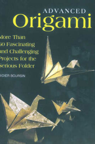 Cover of Advanced Origami