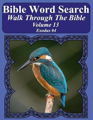 Book cover for Bible Word Search Walk Through The Bible Volume 13