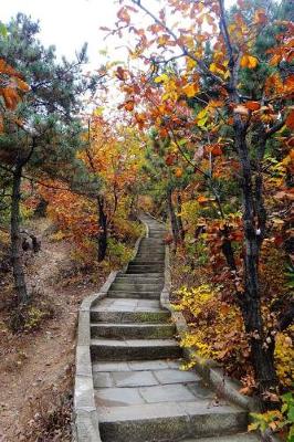 Book cover for Colorful Autumn Leaves and a Stone Stairway Up the Hill Journal