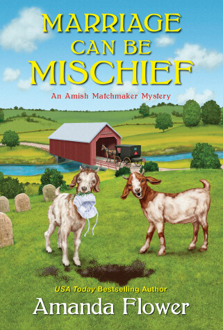 Cover of Marriage Can Be Mischief