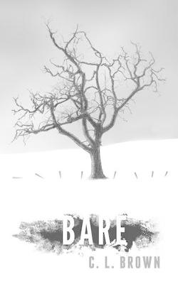 Book cover for Bare