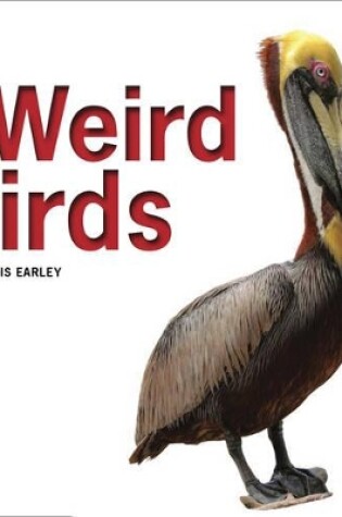 Cover of Weird Birds