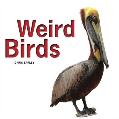 Book cover for Weird Birds