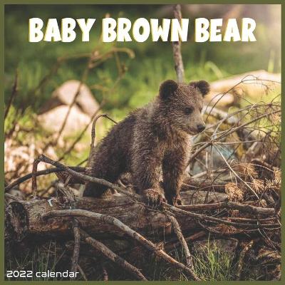 Book cover for Baby Brown bear 2022 Calendar