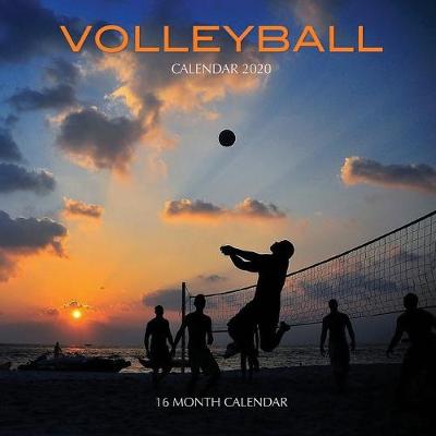 Book cover for Volleyball Calendar 2020