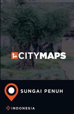 Book cover for City Maps Sungai Penuh Indonesia