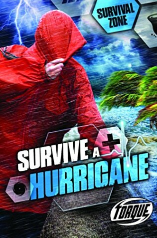 Cover of Survive a Hurricane