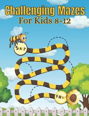 Book cover for Challenging Mazes For Kids 8-12