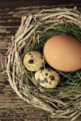 Book cover for Eggs in a Basket on the Table