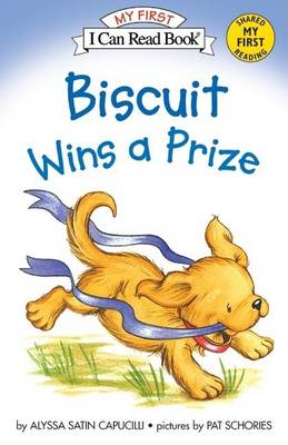 Book cover for Biscuit Wins A Prize