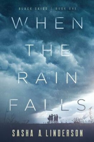 Cover of When the Rain Falls