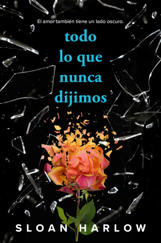 Cover of Todo lo que nunca dijimos / Everything We Never Said