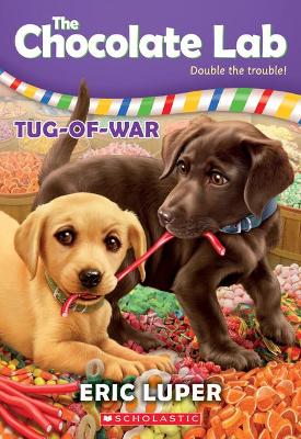 Cover of Tug-Of-War