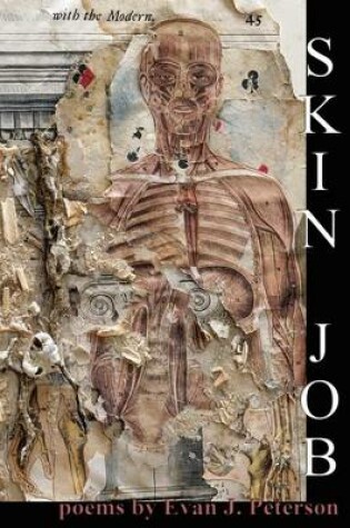 Cover of Skin Job