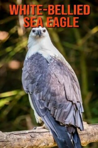 Cover of White-Bellied Sea Eagle