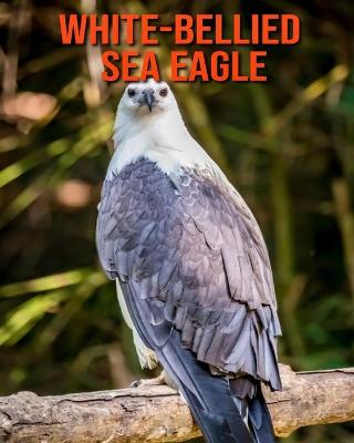 Book cover for White-Bellied Sea Eagle