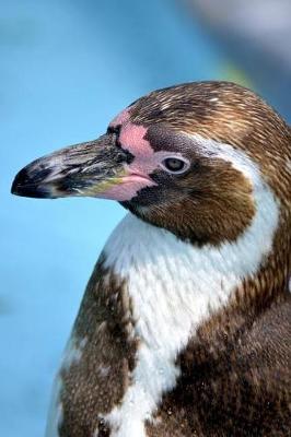 Book cover for Portrait of a Humboldt Penguin Journal