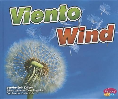 Book cover for Viento/Wind
