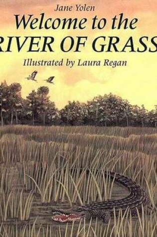Cover of Welcome to the River of Grass