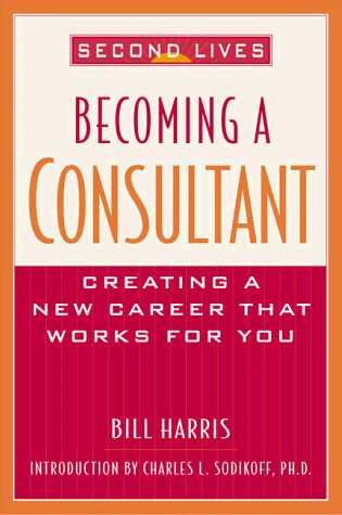 Cover of Second Lives: Becoming a Consultant