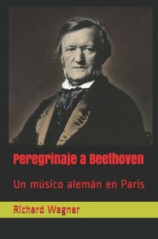 Cover of Peregrinaje a Beethoven