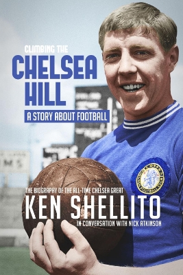 Book cover for Climbing the Chelsea Hil