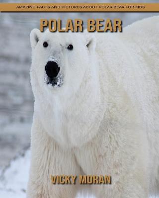 Book cover for Polar bear