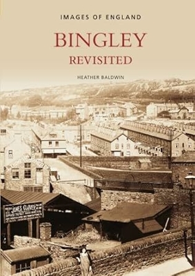 Book cover for Bingley Revisited