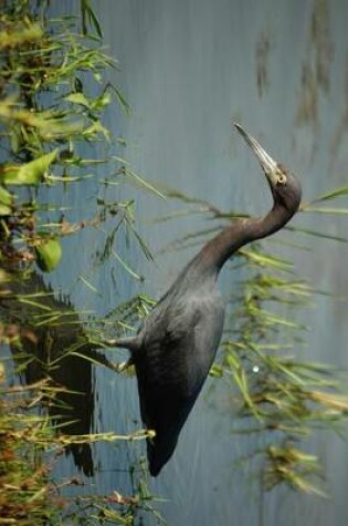 Cover of Blue Heron Calmly Fishing, Birds of the World