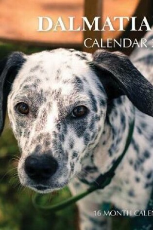 Cover of Dalmatians Calendar 2019