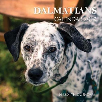 Book cover for Dalmatians Calendar 2019