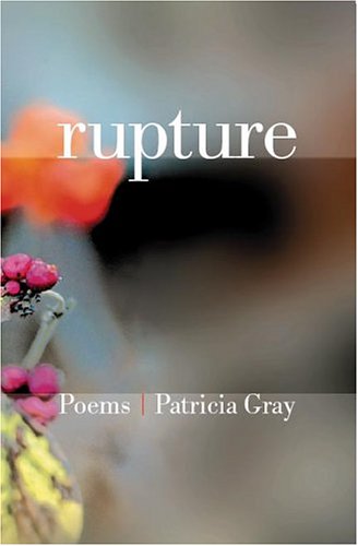 Book cover for Rupture