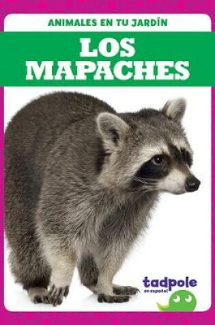 Cover of Los Mapaches (Raccoons)