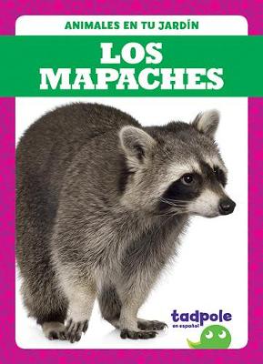 Book cover for Los Mapaches (Raccoons)