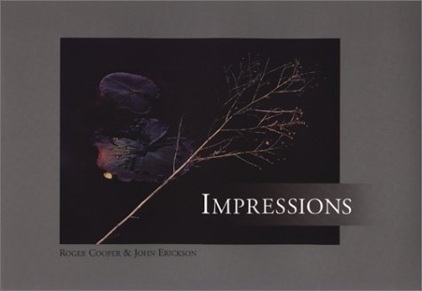 Book cover for Impressions